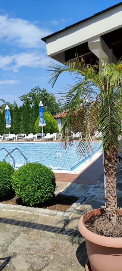 Guest House Palazzo 比亚拉 外观 照片