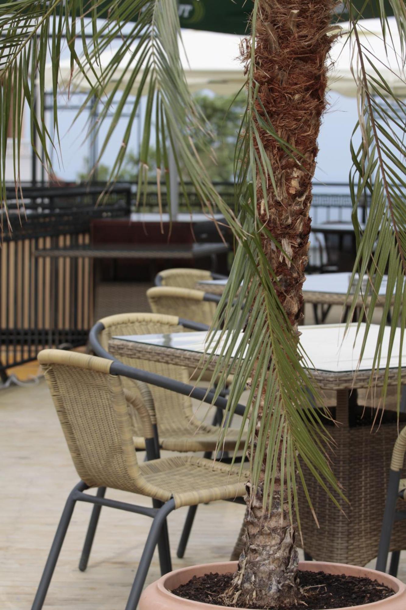 Guest House Palazzo 比亚拉 外观 照片